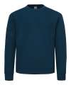 SS141 62276 Supercotton Sweat Mountain Blue colour image