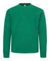 SS141 62276 Supercotton Sweat College Green colour image