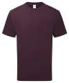 SS640 61362 SS035 Pure Cotton T shirt Dark Plum colour image