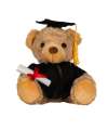 MM36 Graduation Bear Brown colour image