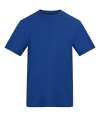 AT001 Unisex 150 T Shirt Royal Blue colour image