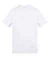 AT001 Unisex 150 T Shirt Arctic White colour image