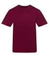 AT001 Unisex 150 T Shirt Burgundy colour image