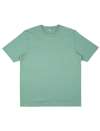 EP38 Earth Positive Heavy T shirt Sage Green colour image