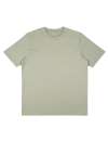 EP38 Earth Positive Heavy T shirt Pistachio colour image