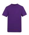 AT002 UNISEX 180 T Purple colour image