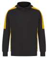 LV341 Unisex team Hoodie Black / Gold colour image