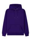 CR01_v2.0 Basic Hoodie Purple colour image
