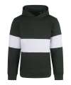 FR803 Heavyweight Panelled Hoodie Bottle / White colour image