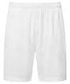 TR507 Unisex TriDri® Ion-Charge performance shorts White colour image