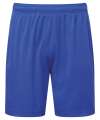 TR507 Unisex TriDri® Ion-Charge performance shorts Royal colour image