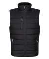 RG445 TRA892 Regatta Navigate Thermal Bodywarmer Black / Seal colour image
