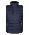 RG445 TRA892 Regatta Navigate Thermal Bodywarmer Navy / Seal colour image
