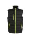 RG445 TRA892 Regatta Navigate Thermal Bodywarmer Black / Lime colour image