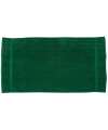 TC004 Towel City Luxury Bath Towel Forest colour image