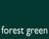 X3016 XP3016 Xpres Super Flex® Forest Green colour image