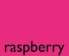 X3016 XP3016 Xpres Super Flex® Raspberry colour image