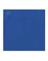 X3049 XP3049 Xpres Glitter Garment Film Blue colour image