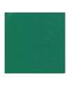 X3049 XP3049 Xpres Glitter Garment Film Green colour image