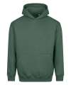 JH111 AWDis Vision Heavyweight Hoodie Moss Green colour image