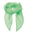 PR740 Premier 'Colours' Chiffon Scarf Apple colour image