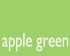 X3019 XP3019 Xpres Super Flex® Evolution Apple Green colour image