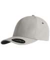 F180 180 Flexfit Delta® Cap Silver colour image
