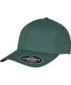 F180 180 Flexfit Delta® Cap Spruce colour image