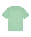 SX142 Freestyler relaxed heavy t-shirt (STTU788) Misty Jade colour image
