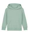 SX706 Kids Mini Cruiser 2.0 iconic hoodie sweatshirt (STSK180) Aloe colour image