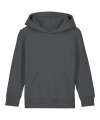 SX706 Kids Mini Cruiser 2.0 iconic hoodie sweatshirt (STSK180) Anthracite colour image