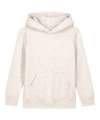 SX706 Kids Mini Cruiser 2.0 iconic hoodie sweatshirt (STSK180) Eco Heather colour image