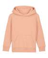 SX706 Kids Mini Cruiser 2.0 iconic hoodie sweatshirt (STSK180) Fraiche Peche colour image