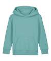 SX706 Kids Mini Cruiser 2.0 iconic hoodie sweatshirt (STSK180) Teal Monstera colour image