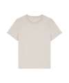 SX768 Women’s Stella Muser iconic t-shirt (STTW172) Heather Haze colour image