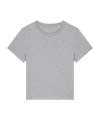 SX768 Women’s Stella Muser iconic t-shirt (STTW172) Heather Grey* colour image