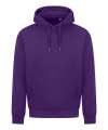 JH501 AWDis Unisex College Hoodie 2.0 Purple colour image