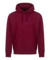 JH501 AWDis Unisex College Hoodie 2.0 Burgundy colour image