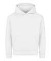 JH501B JH501J AWDis Kids Hoodie 2.0 Arctic White colour image
