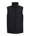 RG643 Pro universal bodywarmer Black / Ash* colour image