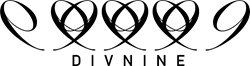 DIVNINE SHOP Header Logo