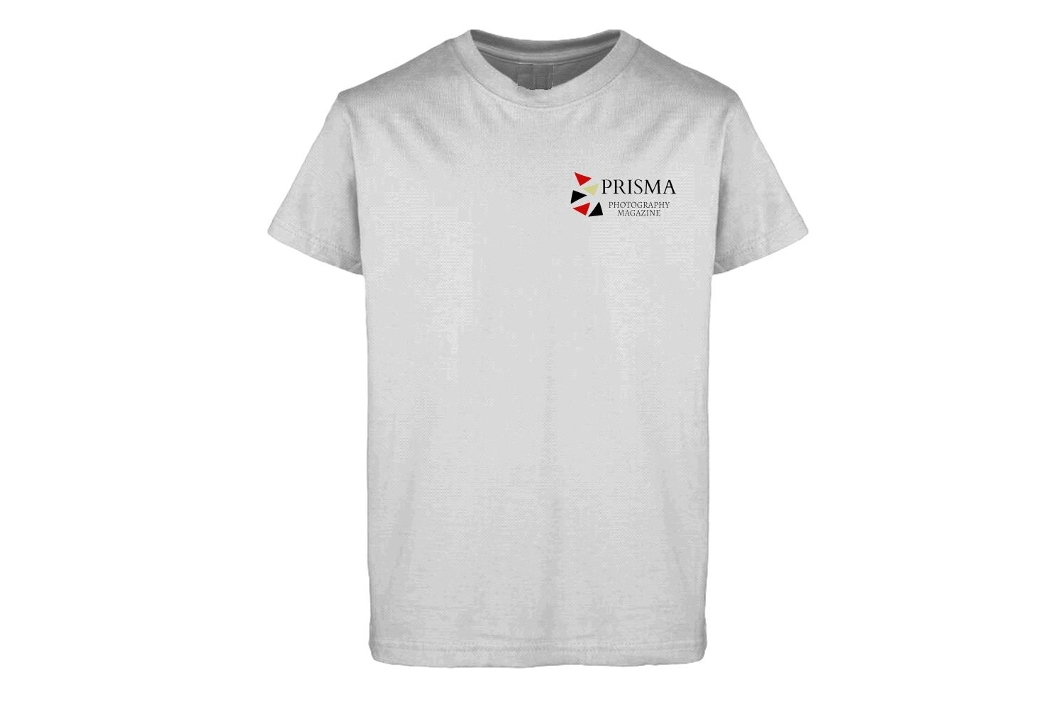 PRISMA Grey T-Shirt