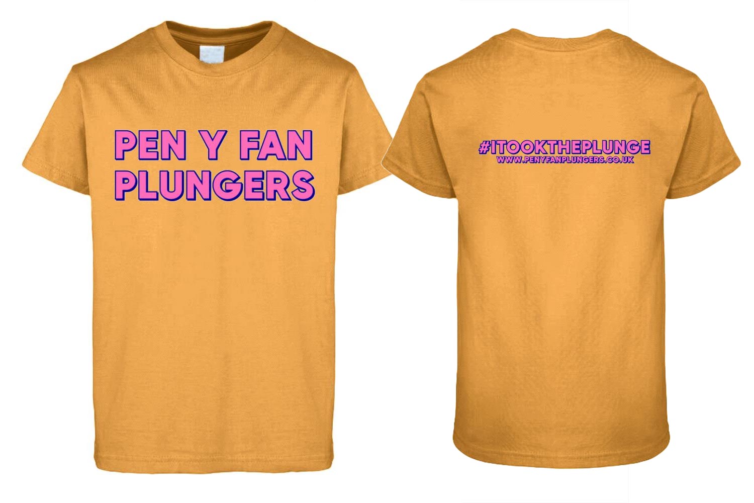 Pen y Fan Plungers t shirt